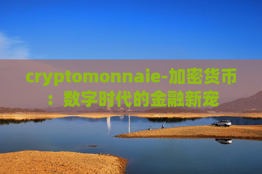 cryptomonnaie-加密货币:数字时代的金融新宠