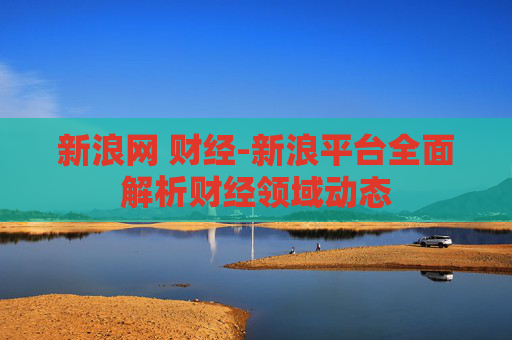 新浪网 财经-新浪平台全面解析财经领域动态