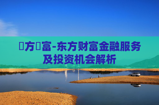 東方財富-东方财富金融服务及投资机会解析