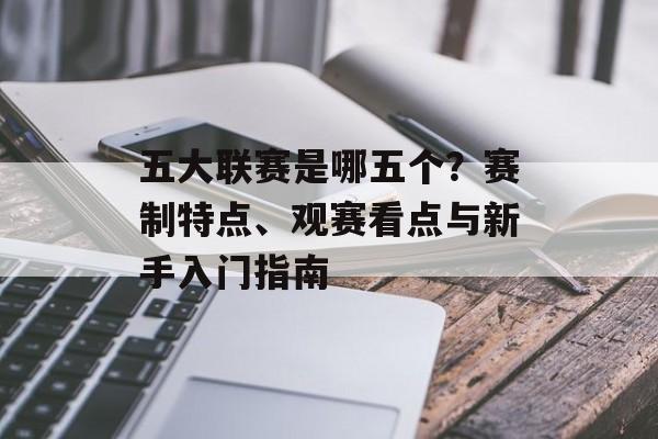 五大联赛是哪五个？赛制特点、观赛看点与新手入门指南